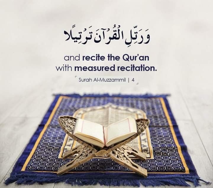 qurantrans